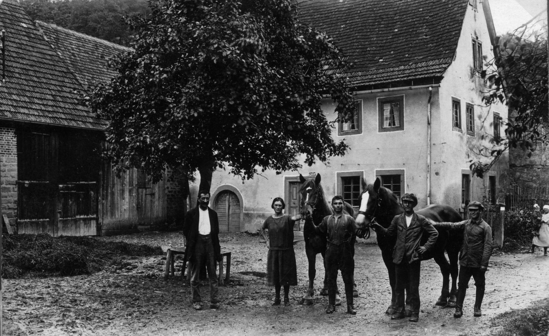 arbeitspferdevor dem wohnhaus haas  kirchen-haas